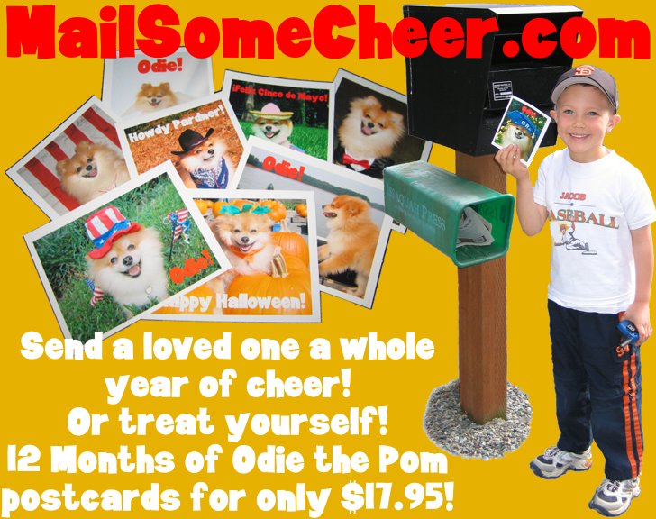 MailSomeCheer.com, send a year of cheer; 12 months of Odie the Pom postcards for only $17.95!
